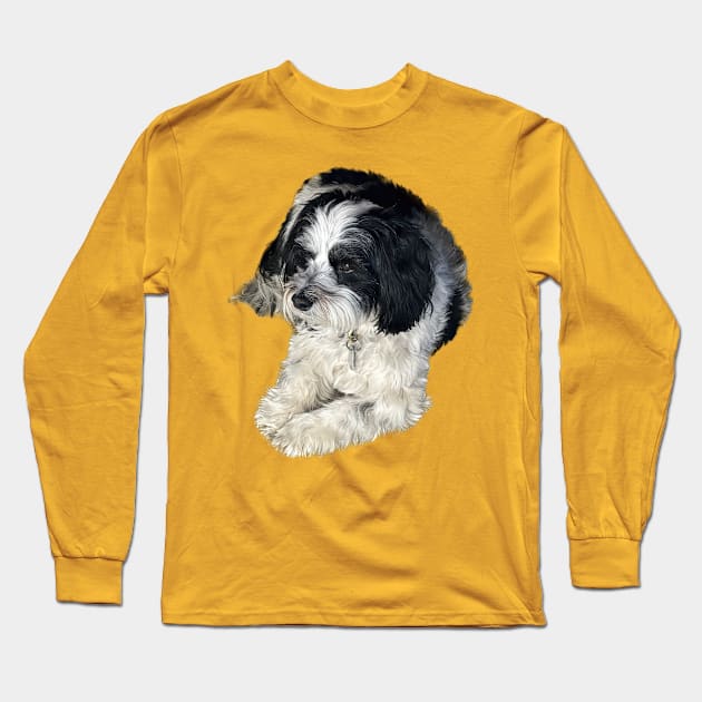 Havanese Toy Dog "Lulu" Long Sleeve T-Shirt by SymbioticDesign